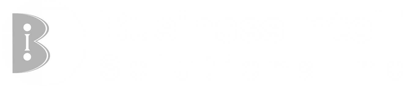 Business Intelli Solutions