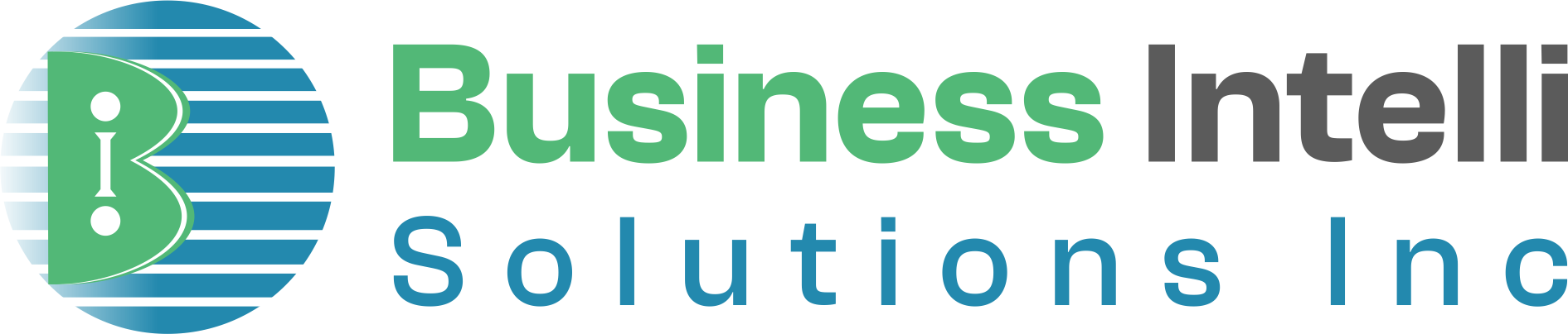 Business Intelli Solutions